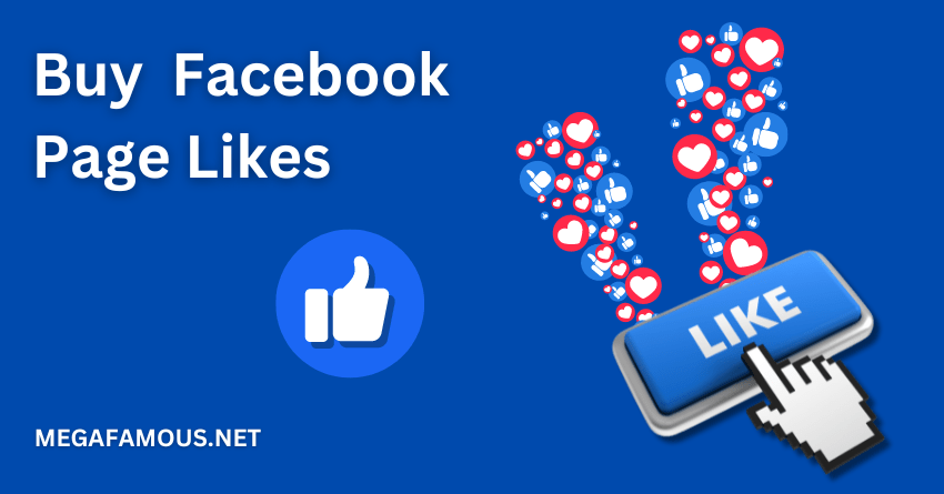 Buy Facebook Page Likes Service