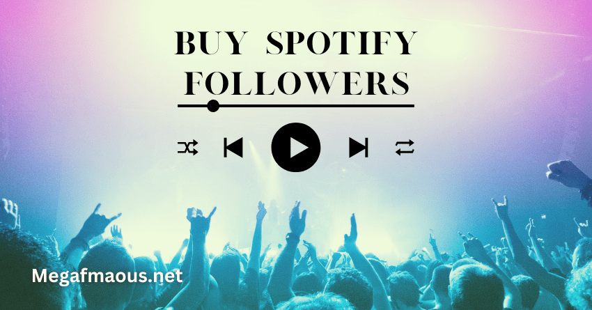 Buy Spotify Followers Service