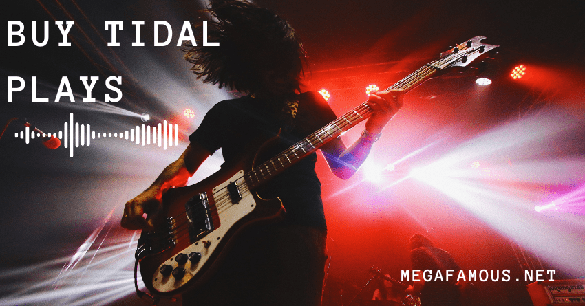 Buy SoundCloud Plays Now