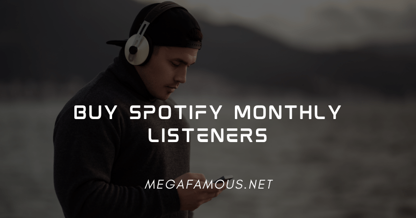 Buy Spotify Monthly Listeners FAQ
